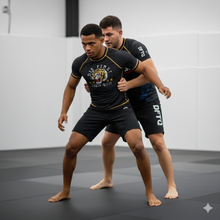 Load image into Gallery viewer, DFTQ Tiger