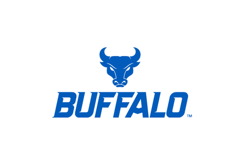 University of Buffalo